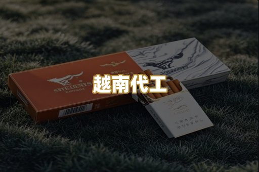越南代工